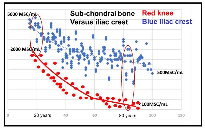 bpc 157 vs stem cells How Long Does BPC 157 Take to Work? Timeline and Guide main image 0
